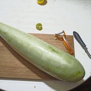 Club-Clava-Samen Lagenaria siceraria Zucchini Gemüsekürbiskürbis Bio-Gemüse-Klebasse Flaschenkürbis essbar