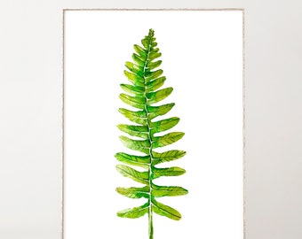 Op de afbeelding: Een aquarel schilderij van een enkele groene varenblad op een witte achtergrond.