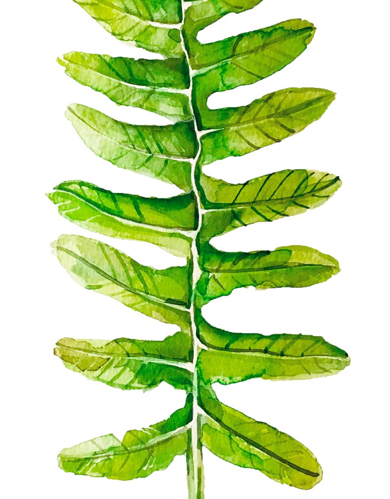 Botanical Print Set Fern Leaf Print Watercolor Print Watercolor Fern Wall Print Botanical Fern Leaf Print Boho Wall Poster Watercolor leaves