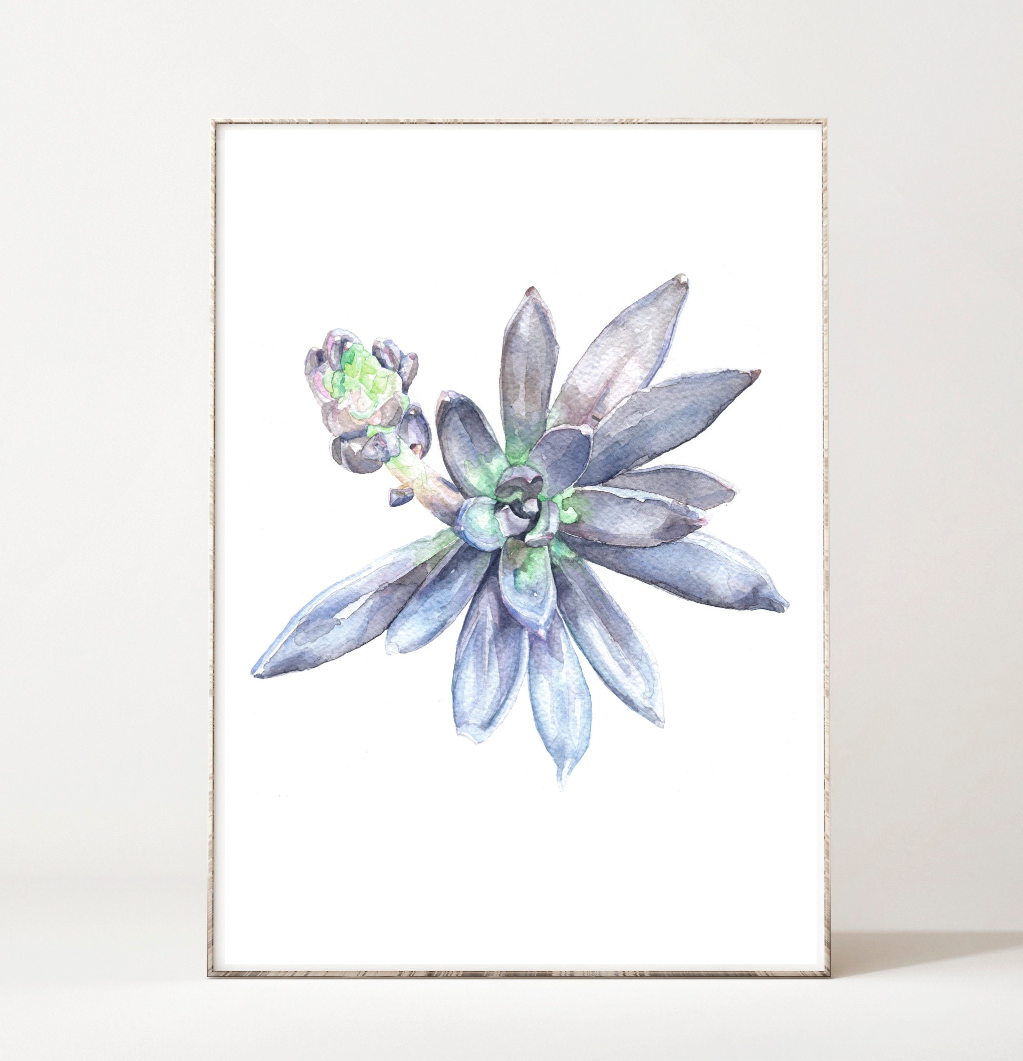 Gallery Wall Set 3 Piece Wall Art Botanical Print Set of 3 Prints Set ...