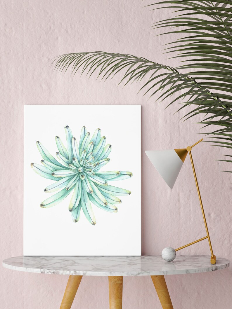 Gallery Wall Set 3 Piece Wall Art Botanical Print Set of 3 Prints Set ...