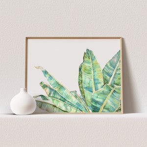 Op de afbeelding: Een ingelijst aquarel schilderij van groene bananenbladeren op een witte achtergrond. De bladeren zijn in een waaier vorm gerangschikt, met de toppen van de bladeren die naar de bovenkant van het frame wijzen.
