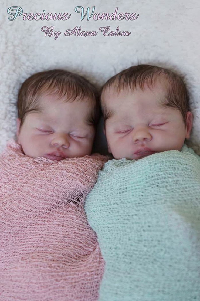 reborn baby dolls twins for sale
