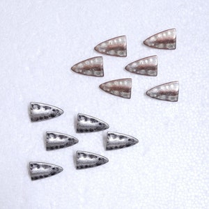 May include: A collection of small, metallic, bullet-shaped embellishments. The embellishments are in two color variations: silver and a copper-toned metal. Each piece has a textured surface and a pointed end, arranged in a pattern on a white background.