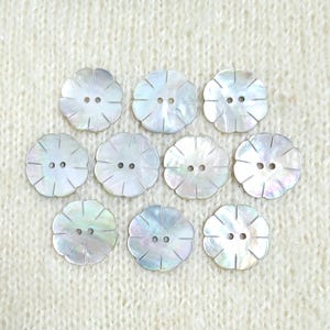 Etched Flower Shell Buttons 22mm or 24mm 2 Hole Iridescent Natural Akoya 5 10 25 50 Pack Fashion Sewing Knitting Shirt Craft Embellishments
