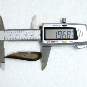 May include: A brown and tan, curved object is measured with a digital caliper. The caliper displays a measurement of 1.968 inches. The object has a smooth, polished appearance and a natural, organic pattern.