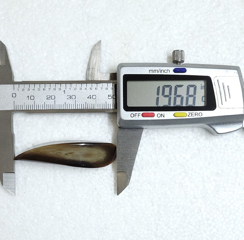 May include: A brown and tan, curved object is measured with a digital caliper. The caliper displays a measurement of 1.968 inches. The object has a smooth, polished appearance and a natural, organic pattern.