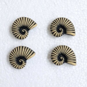 JHB Snail Shell Buttons 4 x 15mm Shank Nautilus Black & Tan Novelty Spiral Sea Gems Sewing Knitting Art Fun Craft Home Decor Embellishments