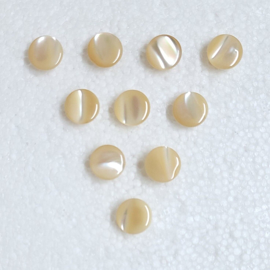 JHB Classic Pearl Trocas Shell Buttons 10mm Self Shank Iridescent Cream ...
