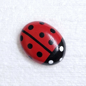 May include: A red ladybug painted on a smooth, round stone. The ladybug has black spots and a black head with white dots.