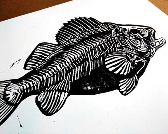 linoprint, linocut, Skeleton fish, handmade, bones, fishing, limited edition, special, pez, handprint, printmaker, linoleum, handcarved,