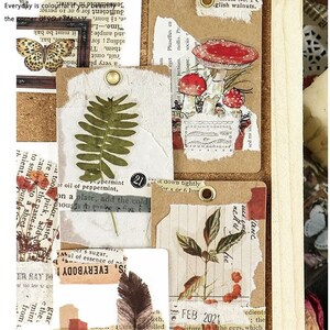 Könnte beinhalten: Ein Satz Vintage-Aufkleber mit botanischen Illustrationen, darunter Pilze, Farne und Beeren. Die Aufkleber sind auf braunem Papier mit einem abgenutzten, gealterten Look gedruckt. Der Text "STICKERS" ist oben im Bild gedruckt. Der Text "FEB 2021" ist auf einem der Aufkleber gedruckt.