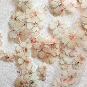 Könnte beinhalten: Eine Sammlung zarter, durchscheinender Blumenaufkleber mit Aquarell-Effekt. Die Aufkleber zeigen eine Vielzahl von blassrosa und weißen Blumen mit filigranen Details. Die Aufkleber sind perfekt, um Tagebüchern, Planern, Karten und anderen Bastelprojekten einen Hauch von Eleganz zu verleihen.
