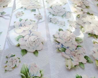 Gardenia glossy Pet Tape Sample, 90 cm / 1Loop