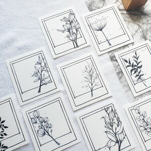 Könnte beinhalten: Neun Schwarz-Weiß-Tintenzeichnungen verschiedener Blumen und Pflanzen, jede in einem schwarzen Quadrat gerahmt, auf weißem Hintergrund.