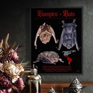 Vampire Bat Art Print, Watercolour Art Print, Archival Print, gothic decor, (8.5” x11”)