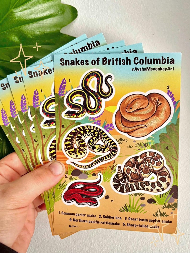 Snake Stickersheet | Waterproof Sticker - Etsy