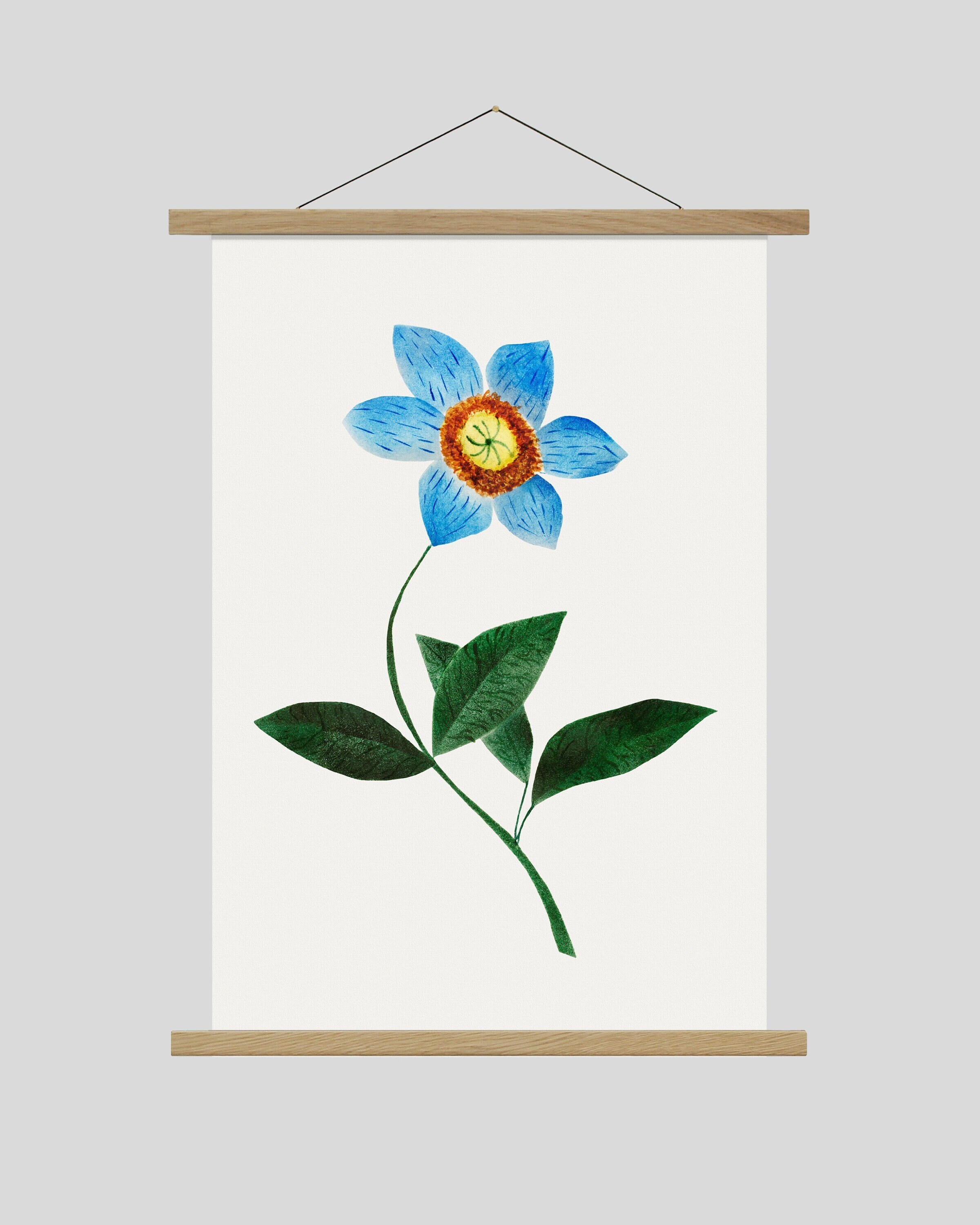 Bluestar Flower Print: Retro Botanical Art With Oak Hanging Frame