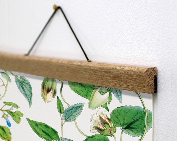 Indian Tobacco Plant Print: Botanical Canvas With Oak Frame