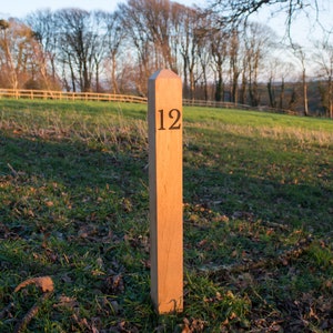 May include: A wooden post with the number 12 carved into it. The post is standing in a grassy field with trees in the background.
