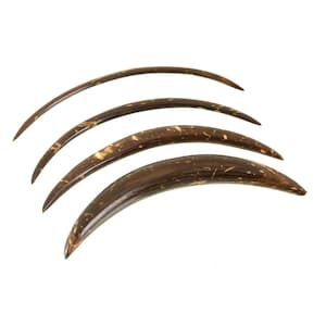 Coconut Shell Curved Septum Tusk | Handmade Septum Jewellery