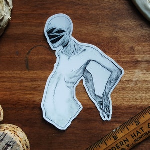 Mostro carnoso / Adesivi / Horror / Strano / Surrealismo oscuro / Adesivi in vinile opaco chiaro resistenti alle intemperie