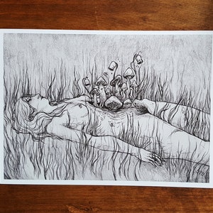 Meadow / 5 x 7 matte fine art print / Guro / Creepy / Dark art / Surreal / Graphite drawing