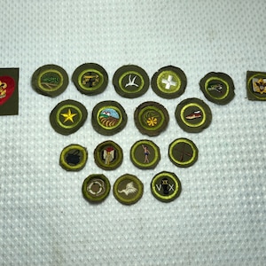 May include: A collection of 17 green and yellow embroidered Boy Scout merit badges. The badges feature various designs, including a compass, a bird, a cross, a shoe, a star, a flower, a pot, a bird, a pair of wings, and a Roman numeral 'XX'.