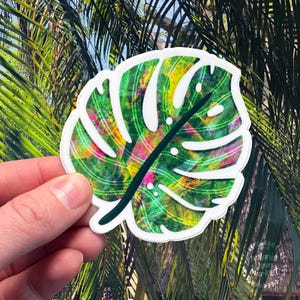 Monstera Sticker, Tropical Leaf Sticker, Colorful Monstera Plant Sticker | Vinyl Sticker