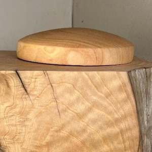 large Port Orford white cedar, driftwood cremation urn, urns for human ashes 14&quot;x11&quot;x8&quot; capacity 214 cubic inches