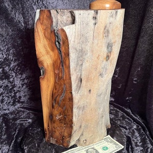 Dark Myrtle Wood Driftwood Cremation Urn: Beach Theme, 120 Cubic Inches