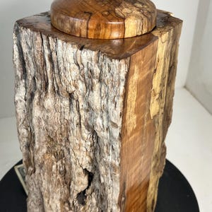 Chestnut Driftwood Cremation Urn: Beach Rock Knob, 104 Cubic Inches