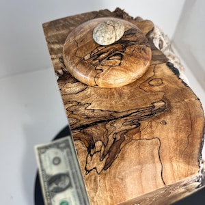 Può includere: Una scultura in legno artigianale con un'estetica naturale e organica. Il pezzo presenta una base marrone chiaro con venature scure e intricate, sormontata da un elemento circolare in legno lucido e una piccola pietra strutturata. La venatura del legno è prominente.