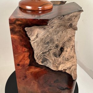 redwood root driftwood cremation urn, urns for human ashes, urns for pet ashes, 13"x8"x7" capacity 181 cubic inches.