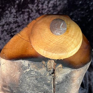 Puede incluir: Un tronco de madera con una tapa redonda de madera. La tapa tiene una pequeña piedra marrón y blanca en la parte superior.