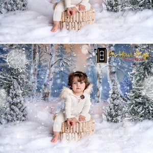 CEP Let It Snow Brush Set (für Photoshop) *Besser als Overlays!*