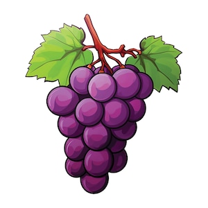 Vinyl Sticker Decal Grape Vine Vineyard Wine Fruit Food DIY Sign