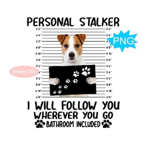 Jack Russell Terrier Png, Jack Russell Terrier Png, Sublimation Jack Russell, Clipart Jack Russell, Motifs Sublimation De Chien, Chemise Pour Chien Png
