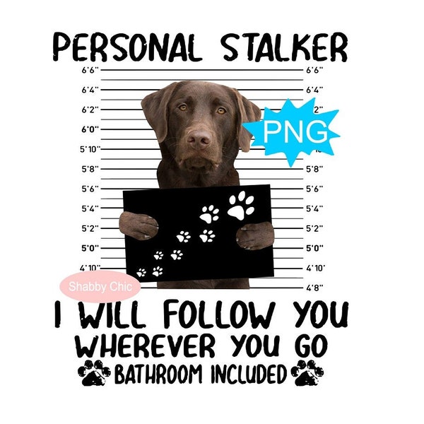 Chocolate Lab Png, Labrador Retriever Png, Chocolate Labrador Png, Labrador Clipart, Labrador Sublimation, Dog Sublimation Designs