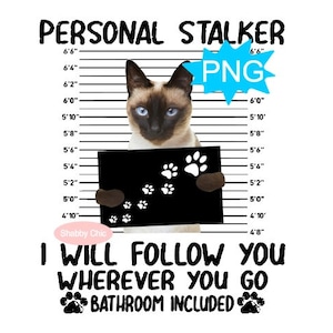 Siamese Cat Png, Siamese Sublimation, Cat Sublimation Png, Cat Mom Png, Funny Cat Png, Cat Clipart, Funny Cat Tumbler Design, Cute Cat Png