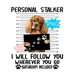 Cavalier King Charles Spaniel Png, Blenheim Cavalier Png Spaniel Png, Spaniel Dog Png, Spaniel Dog Sublimation, King Charles Spaniel Png