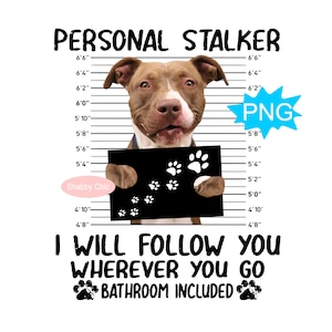 Pitbull Png, Pitbull Dog Png, Pitbull Sublimation Png, Pitbull Clipart, Pitbull Clip Art, American Pitbull Png, Pittie Mom Png, Pitty Mom