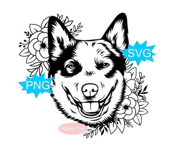 Blue Heeler Svg Australian Blue Heeler Svg Blue Heeler Png | Etsy