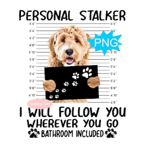 Labradoodle Png, goldenes Labradoodle Png, australisches Labradoodle Png, Labradoodle Sublimation, Labradoodle Hund, Hundesublimation, Hundebecher Png