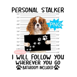 Cavalier King Charles Spaniel Png, Blenheim Cavalier Png Spaniel Png, Spaniel Dog Png, Spaniel Dog Sublimation, King Charles Spaniel Png