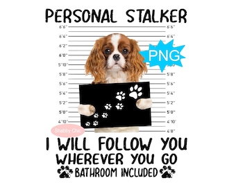 Cavalier King Charles Spaniel Png, Blenheim Cavalier Png Spaniel Png, Spaniel Dog Png, Spaniel Dog Sublimation, King Charles Spaniel Png