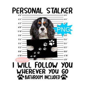 Cavalier King Charles Spaniel Png, Blenheim Cavalier Png Spaniel Png, Spaniel Dog Png, Spaniel Dog Sublimation, King Charles Spaniel Png