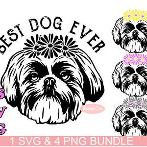 Shih Tzu Svg, Shih Tzu Png, Shih Tzu Mom Svg, Shih Tzu Mom Png, Shih Tzu Mama Svg, Shih Tzu Clipart, Shih Tzu Sublimation, I Shih Tzu Not