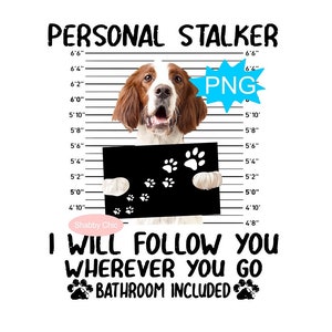 Irish Setter Png, Irish Setter Sublimation, Irish Setter Png, Setter Dog png, Hunting Dog Png, Hunting Dog Sublimation