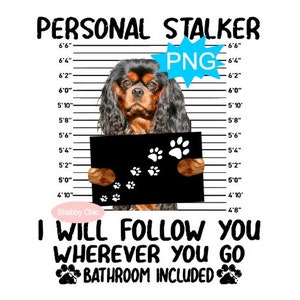 Cavalier King Charles Spaniel Png, Blenheim Cavalier Png Spaniel Png, Spaniel Dog Png, Spaniel Dog Sublimation, King Charles Spaniel Png